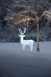 Deer acrylic LED 130cm